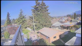 Alberniweather West Webcam [upl. by Ramuk260]