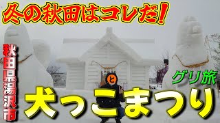 秋田の数ある最高の冬まつり「犬っこまつり」に行ってきた件 [upl. by Spector]