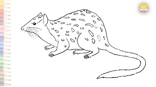 Northern Quoll drawing easy  How to draw Quoll step by step  drawing videos tutorials [upl. by Aiyram714]