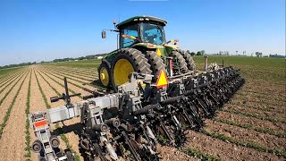 Hiniker 6000 Cultivating Organic Soybeans [upl. by Bloomer]