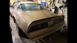 1978 Y88 Trans Am for sale tight space Pre Purchase inspection Car Appraisal Detroit Mi 8106942008 [upl. by Tyra]