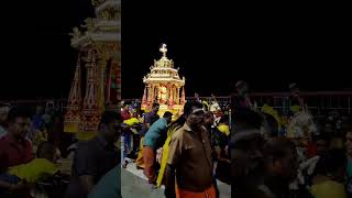 Palani Temple I പളനി I Thanga theru I Golden chariot [upl. by Nylirrej]