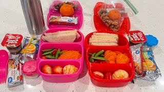 Lunchbox Inspiration School Lunch Ideas for Kindergarten and 6th Graders [upl. by Henn192]