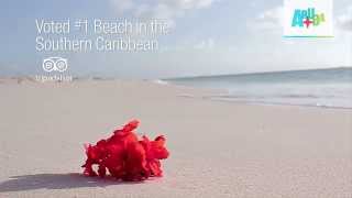 Eagle Beach Aruba The 1 Southern Caribbean Beach [upl. by Pattie775]