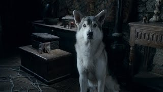 Game of Thrones  Are the Direwolves Still Important  Dragons on the Wall [upl. by Paulina]