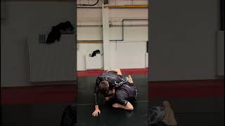 Half guard ankle pick sweep jiujitsutechnique bjj grappling mma [upl. by Perloff891]