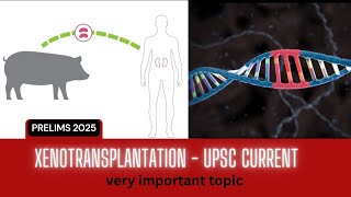 XENOTRANSPLANTATION  CURRENT AFFAIRS VERY IMPORTANT TOPIC  Daily quiz  currentaffairs upsc [upl. by Keheley]