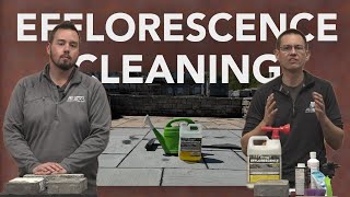 Efflorescence Cleaning Tips [upl. by Cacilia]