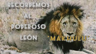 Recordemos al poderoso león quotMakhuluquot [upl. by Katrinka823]