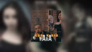 Abba Karib  Para  Sped up [upl. by Analise]