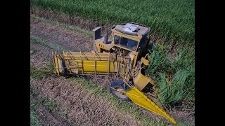 2019 Louisiana Sugarcane Planting 4K [upl. by Salomie]