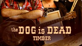 The Dog is Dead  Timber [upl. by Bruni]