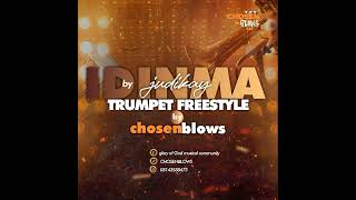 idinma by judikay trumpet cover by chosenblows [upl. by Anoirtac]