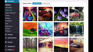FooGallery WordPress Plugin  Media Categories and Tags [upl. by Micah]