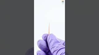 Waldent Gutta Percha Points Protaper Length Marked  Precision for Root Canal Treatments [upl. by Ciro532]