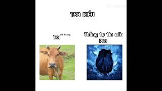 TSB KIỂU memes [upl. by Waylen542]