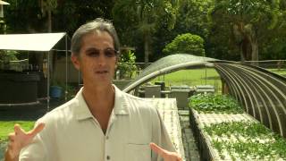 Aquaponics in Kauai Hawaii  Renewable Food Production [upl. by Kerri]