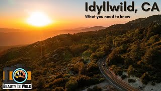 First Time Visiting Idyllwild MUST Watch Before You Go [upl. by Leiram]