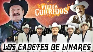 Los Mejores Éxitos de Los Tucanes De Linares  Leyendas de la Música Mexicana [upl. by Heid]