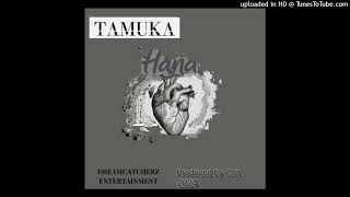 Tamuka  HanaOfficial Audio [upl. by Lodnar]