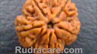 Panch Mukhi face Rudraksha mantra [upl. by Lucian]