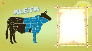 Partes de la vaca despiece [upl. by Riddle]