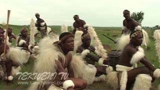 Celebrating Zulu Heritage Through Tribal Dance [upl. by Nador]