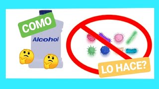 💚🧪 POR QUE SE UTILIZA EL ALCOHOL COMO ANTISÉPTICO 💚🧪 [upl. by Erodroeht]