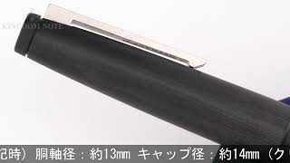 LAMY ラミー 万年筆 ラミー2000 EF [upl. by Apps808]