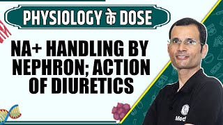 Na Handling by Nephron Action of Diuretics  1st Year MBBS  Dr Vivek  Physiology के Dose [upl. by Cioffred]