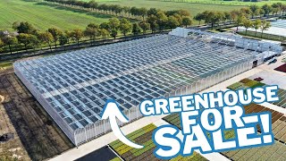 Venlo greenhouse 1280 m 9331 m² [upl. by Elik940]