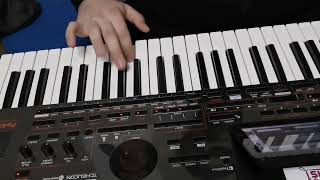 Cveta  Korg pa4x cover [upl. by Nalani]