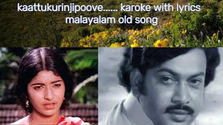 Kaattukurinjipoovu karaoke with lyrics old malayalam song karoke [upl. by Nanerb202]