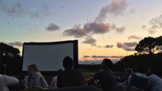 Sydney Moonlight Cinema at Centennial Park [upl. by Eintrok]