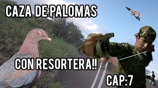 caza de palomas con resortera tiros a larga distancia  slingshot resortera tirachinas [upl. by Ragde]