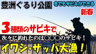 豊洲ぐるり公園で真冬に３種類のサビキ釣りをしたらイワシとサッパがアノ時間に連発大漁！魚が釣れるマッチするサビキを試行錯誤で探す [upl. by Dranoc]