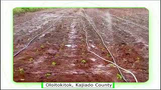 Types of irrigation systems in Kenya by Grekkon Limited [upl. by Mychal880]