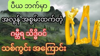 ဂမ္ဘီရ သိဒ္ဓိဝင် သစ်ကွင်းအကြောင်း [upl. by Haonam602]