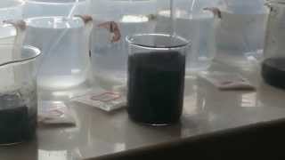 Coagulation flocculation jar test [upl. by Raynah]