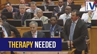 WATCH Steenhuisen to Mbete  you need therapy [upl. by Kwan]