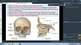 Anatomy of the Paranasal sinuses  Dr Ahmed Farid [upl. by Elamaj]