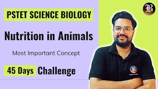 Nutrition in Animals  PSTET Science Preparation  Paper2 Biology  PSTET Science Biology Coaching [upl. by Htessil972]