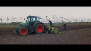 Boomkwekerij Maarten van Overbeek 2016 [upl. by Nyvek]