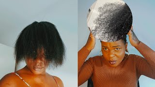 I Tried Natural Remedies For Smooth Hair [upl. by Whall358]