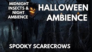 🎃Spooky Scarecrow Ambience  Midnight Insect amp Birdlife Ambience  Halloween ASMR [upl. by Eugirne]