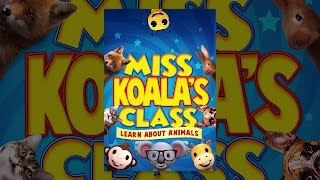 Miss Koalas Class  Learn About Animals [upl. by Pearl596]