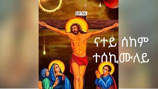 ERITREAN ORTHODOX MEZMUR  NATEY SEKEM TESEKIMULEY  ናተይ ሰከም ተሰኪሙለይ [upl. by Eidnalem]