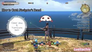 How to Catch Navigator’s Brand Fish in FFXIV [upl. by Aneekas]