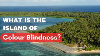 What is the Island of Color Blindness A Fascinating Look at Life Without Color [upl. by Oiznun]