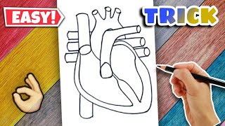 Heart Diagram  Easy Class 10 [upl. by Ciccia]